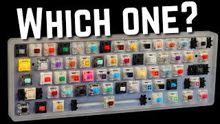 How to Choose the Perfect Switch For YOU [upl. by Nylimaj170]