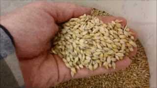 Barley to Beer in 100 seconds [upl. by Aimekahs992]