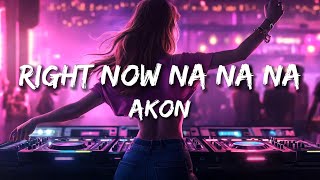 Akon  Right Now Na Na Na Remix [upl. by Kassi]