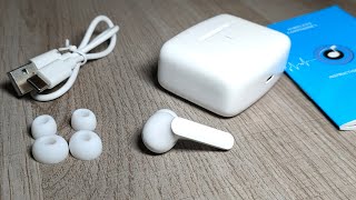 GRDE BS2 TWS True Wireless Bluetooth Earphones Review [upl. by Raimundo]