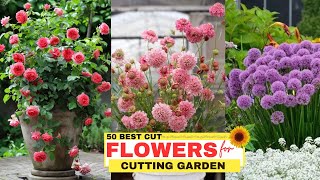 50 Best Cut Flowers for Cutting Garden [upl. by Braynard918]