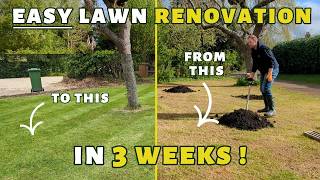 Complete lawn RENOVATION with AMAZING results in 3 weeks [upl. by Piotr852]