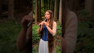 ‘The Lilting Banshee’  a traditional Irish jig ☘️🎶 tinwhistle shorts [upl. by Litsyrk]