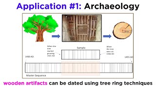 Applications of Dendrochronology [upl. by Connelley593]