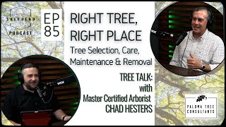 Want HEALTHY TREES Watch This Arborists Expert Advice Now [upl. by Norym]