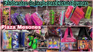 🤩 Lapiceras y Cosmetiqueras transparentesOrganigastosHECHO EN MÉXICOYute y Personajes [upl. by Acceber]