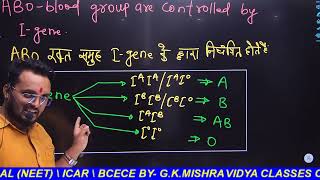 BLOOD GROUP \\ MULTIPLE ALLELE \\ GENETICS\\ BYGKMISHRA \\ CLASS12 [upl. by Ainiger722]