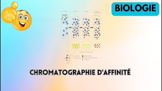 chromatographie daffinité biologie [upl. by Minette728]