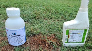 2 Products To Kill Weeds Fast WITHOUT Killing the Grass [upl. by Ik344]