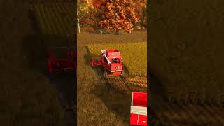 Harvesting SOYBEANS with MASSEY FERGUSON 8570  Riverbend Springs  Farming Simulator 25 [upl. by Akerdal]