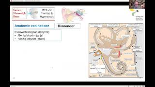 Webinar 26 Tinnitus en hyperacusis [upl. by Artenak]