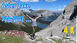 Aster LakeKananaskis Lakehikingcamping캐나다록키산행Calgary산악 동호회 [upl. by Harutek]