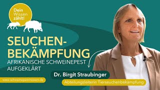 Afrikanische Schweinepest So läuft die Tierseuchenbekämpfung in Hessen ab  HMLU [upl. by Sevart]