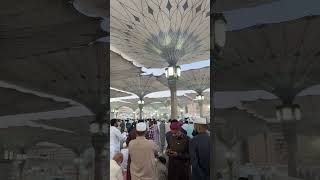 Masjid nabawi live madina live Eid lu fitr 2023 🌙 masjidnabawi [upl. by Loferski]