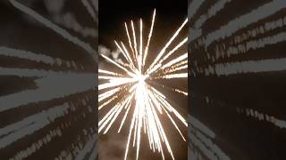 Vivid pyrotechnics REEPERS fireworksuk [upl. by Glennie]