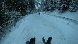 Sledging in Les Diablerets [upl. by Eba]