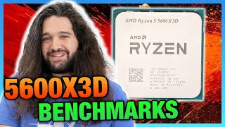 AMD Ryzen 5 5600X3D CPU Review amp Benchmarks Last Chance Upgrade [upl. by Krischer207]