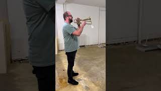 Trumpet players 🤝 Trombone players  The Holton ST303 Firebird [upl. by Eirrac]