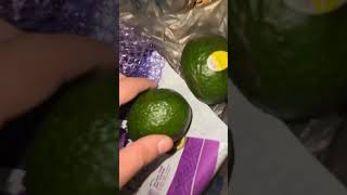 AVOCADO RIPENING LIFE HACK  TRAPPING THE AIR IN BAG CREATES PHTHALIDES to speed up RIPENING TIME [upl. by Cristy790]