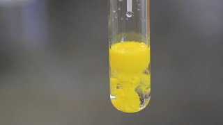 Experiment More precipitation Reactions [upl. by Buehrer]