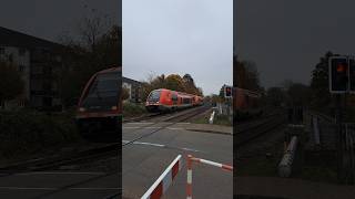 BR 641 015 der Deutsche Bahn am Bahnübergang in Grenzach deutschebahn trainspotting shorts yt [upl. by Tereb]