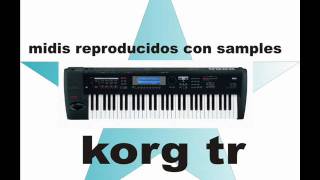 terrenal julion alvarez midi korg con sampleswmv [upl. by Frazier]