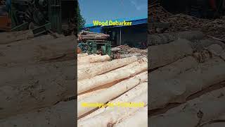 Efficient Timber Peeling with Our Powerful Wood Debarker Machinewood peeling woodmachine [upl. by Hnim772]