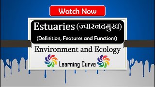 Estuary Ecosystem  ज्वारनदमुख किसे कहते हैं  Features and Functions  Ecology  UPSC  In Hindi [upl. by Holofernes]