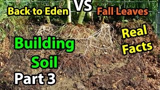 Back to Eden Organic Gardening 101 Method with Wood Chips VS Leaves Composting Garden Series Part 3 [upl. by Valry]