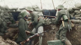 Battle of Verdun 19161917 [upl. by Ytoc]