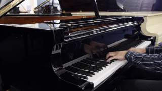 BECHSTEIN A 175  PIANOS MELBOURNE [upl. by Ettena]