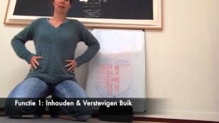 Bewegingsleer en anatomie van de buikspieren voor yoga [upl. by Goulden]