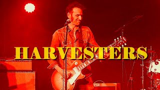 HARVESTERS LIVE  ZOMERLIEF 24 [upl. by Mainis]