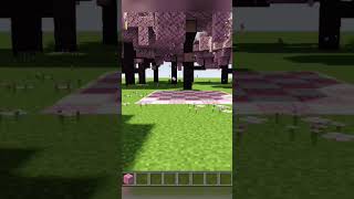 Simple picnic spot minecraft ytshorts minecraftturtorial Toshanigamer1224 [upl. by Annawot]