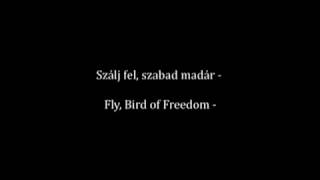 Szállj fel szabad madár  szöveg English lyricstranslation [upl. by Coulson]