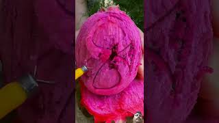 agriculture fruit fruitcutting naturallifeb naturalclips satisfying naturelife nature food [upl. by Ecinwahs]