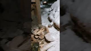 our woodpile feeling sore bearcountry snow woodpile firewood bc offgrid [upl. by Ykcor]