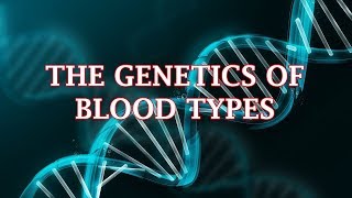 The Genetics of Blood Types [upl. by Minda]