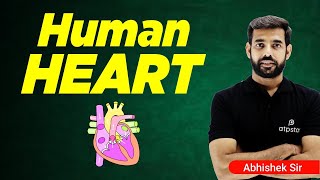 Our Pump  The Heart  Human Heart  Life Processes Class 10  NTSE Biology  ATP STAR KOTA [upl. by Anoik]