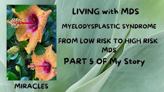 Living with MDS Myelodysplastic Syndrome Ann’s Story Part 5 New Diagnosis [upl. by Miranda]