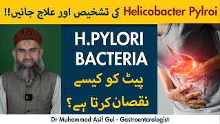 What is Helicobacter Pylori  Gastric ulcer  Causes  Signs and Symptoms of H Pylori [upl. by Lorn]