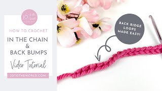 How to Crochet in the Foundation Chain amp Back Ridge LoopsBack Bumps of Starting Chains  Made Easy [upl. by Kerrill]