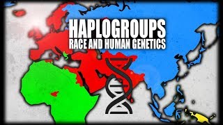 What are Haplogroups Human Genetics Explained [upl. by Eanej]