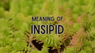 What is the meaning of Insipid [upl. by Nylorak519]