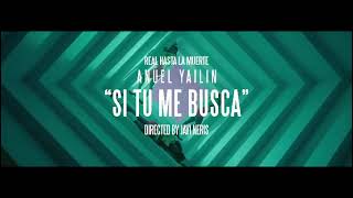 Anuel AA x Yailin La Mas Viral  Si Tu Me Busca Preview 2022 [upl. by Ylenaj]