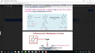 Anticancer Agents 04  Antimetabolites [upl. by Einavoj]