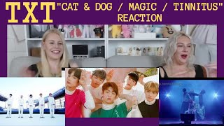 TXT quotCat amp Dog  Magic  Tinnitusquot Reaction [upl. by Siroved]