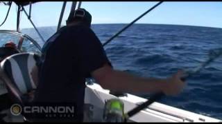 BLA  Cannon Downriggers  Live Baiting for Marlin in Port Stephens New South Wales [upl. by Egduj]