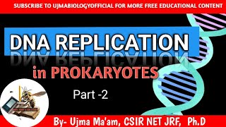 DNA REPLICATION  one shot DNA replication in pk  molecular biology  CSIR NET LIFE SCIENCE [upl. by Roz686]