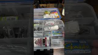 Drop Shot Terminal Tackle Box Organization bassfishing shorts youtubeshorts dropshot [upl. by Studner]